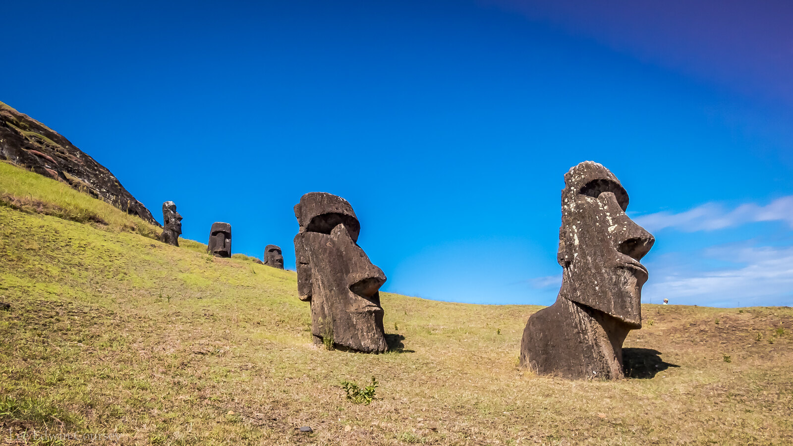 Moai at the Quarry