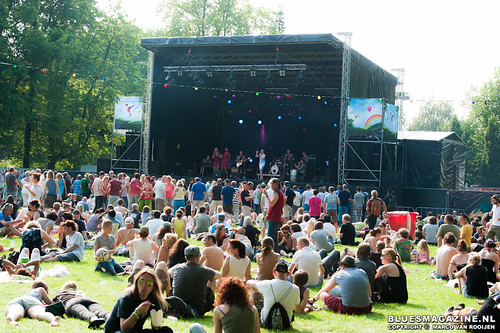 Roots in the Park festival 2013