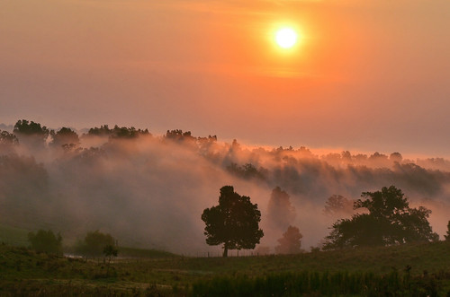 morning trees light mountains tree fog arkansas ozarks ozarkmountains jeffrose jekaworldphotography