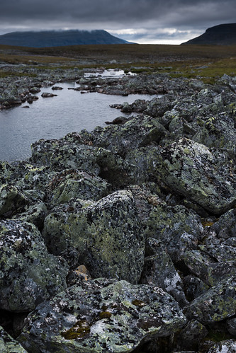 norway tundra troms landskap sommertur dividalen flybilde skaktardalen