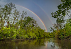 Abita River Rainbows