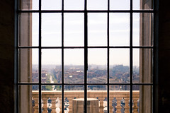 Vatican Window