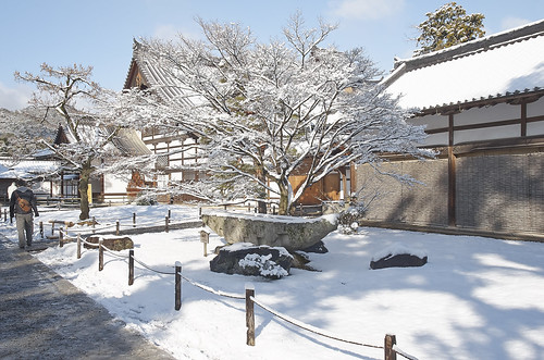 【写真】2014 雪 : 金閣寺/2020-07-05/IMGP4855
