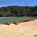 Lunch stop, kayaking through the Abel Tasman National Park. We took a bus to a big boat to a little boat to get to the kayaks, then we rowed for miles to get to this lunch spot. Awesome trip. . . #newzealand #kayak #beach #fall #southisland #southernhemis