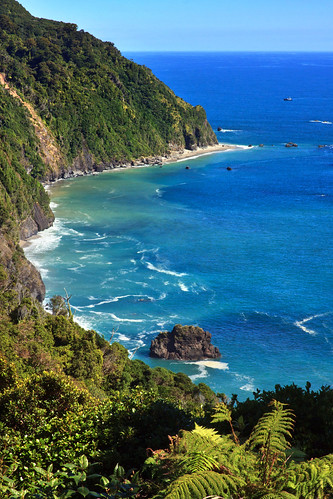 ocean newzealand cliffs jungle southisland tasmansea knightspoint arnottpoint