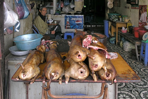 vietnam hanoi dogbutcher asienmanphotography