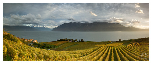 autumn panorama alpes automne schweiz switzerland view suisse wine herbst panoramic vineyards léman vignoble vue panoramique tempête vaud lavaux romandie chablais rivaz wwwifmbch