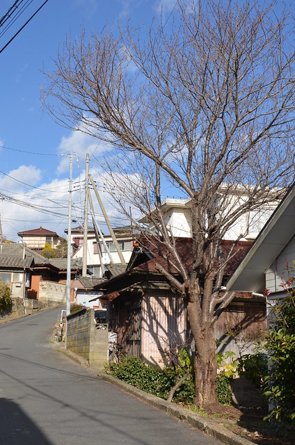 冬の青春18きっぷの旅 那珂湊路地裏散歩 2014年1月6日