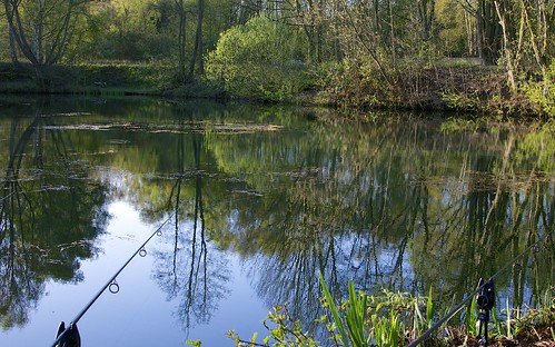 uk trees water reflections spring fishing angling