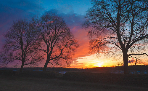 5dmk2 2470mm sunrise colors trees landscape lappeenranta finland