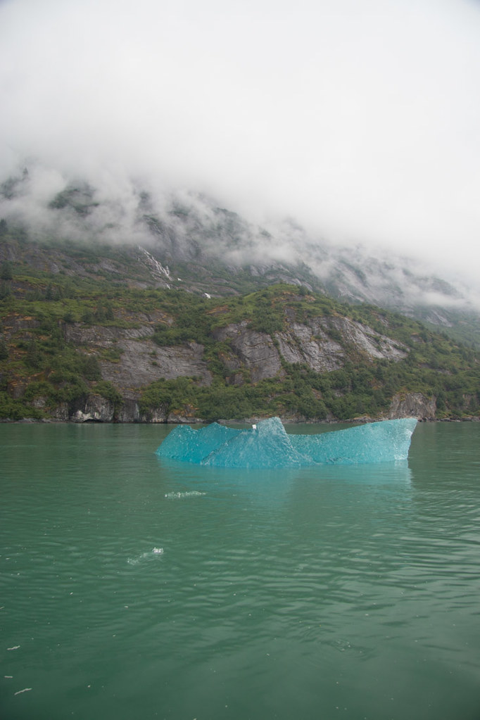Clear blue iceberg in Alaska | Tracy Arm Fjord