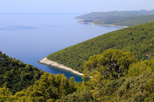 travel island coast europe croatia pines korcula aleppo hrvatska dalmatia dalmacija korčula pupnatskaluka