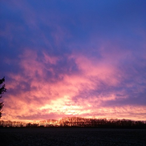morning pink trees winter ohio red sky field clouds sunrise square dawn farm january lg squareformat silhoutte cellphonepic 2014 cellphonephoto fairfieldcounty ruralohio stoutsville ohiofoothills iphoneography instagramapp uploaded:by=instagram optimusg