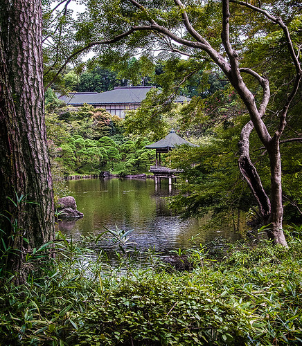japan garden pond 成田山新勝寺 naritacity naritasanshinshouji