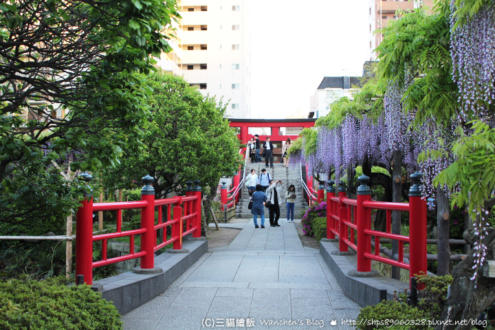 龜戶天神社紫藤祭