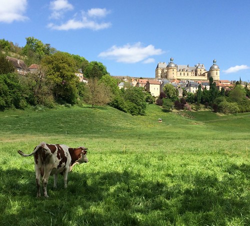 france cow castle landscape paysage perigord dordogne château picturesque vache holstein