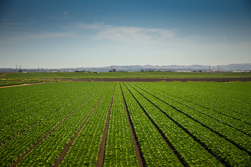 california rural farm farming salinas remote