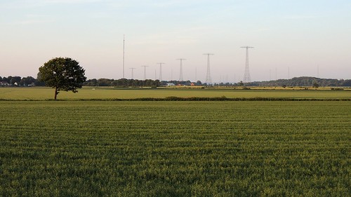 tree field landscape nikon sweden coolpix varberg worldheritage radiomast grimeton p310
