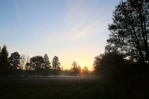 morning sky mist sunrise spreewald