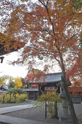 【写真】2013 紅葉 : 梨木神社/2020-09-17/IMGP4281