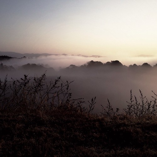 morning japan fog clouds sunrise kagoshima 鹿児島県 日本 雲 kyushu 九州 雲海 朝日 isashi iphonography hipstamatic 伊佐市 uploaded:by=flickrmobile flickriosapp:filter=nofilter