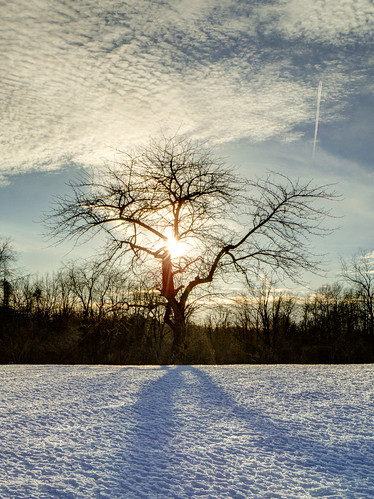 winter sunset shadow usa snow tree cemetery michigan unitedstatesofamerica kalamazoo hdr photomatix kalamazoocounty northdrakeroad mteverrest