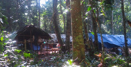 the Okulu research camp