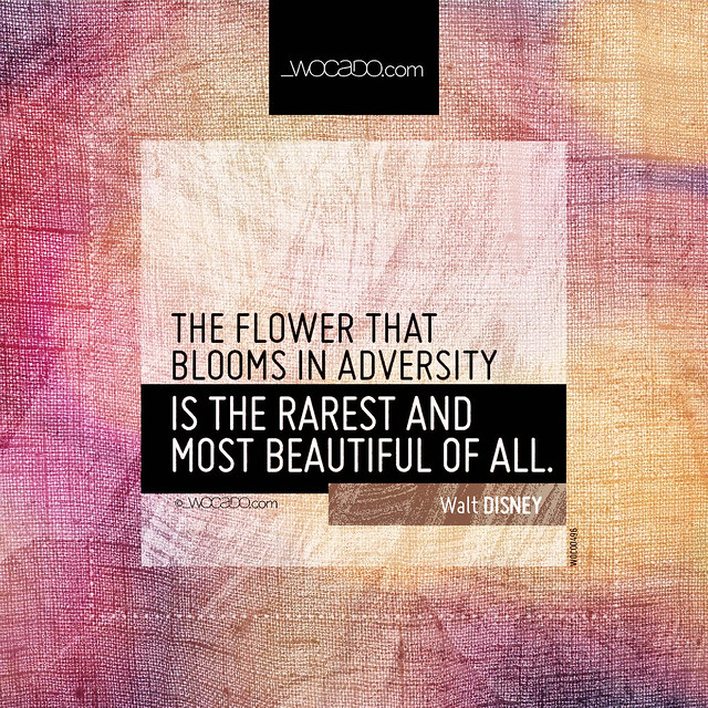 The flower that blooms in adversity by WOCADO.com