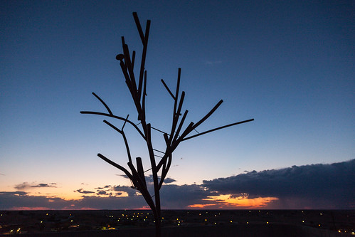 sculpture tree silhouette clouds view desert dusk australia lookout outback southaustralia cooberpedy