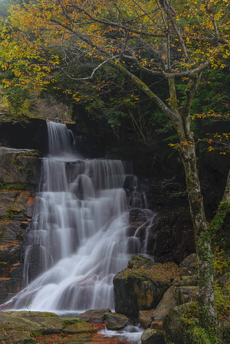 autumn japan waterfall ngc hiroshima 紅葉 滝 広島県 安芸太田町 miyamakyo 深山峡 02景色