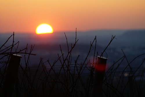 sunset vinyard kappelberg fellbach