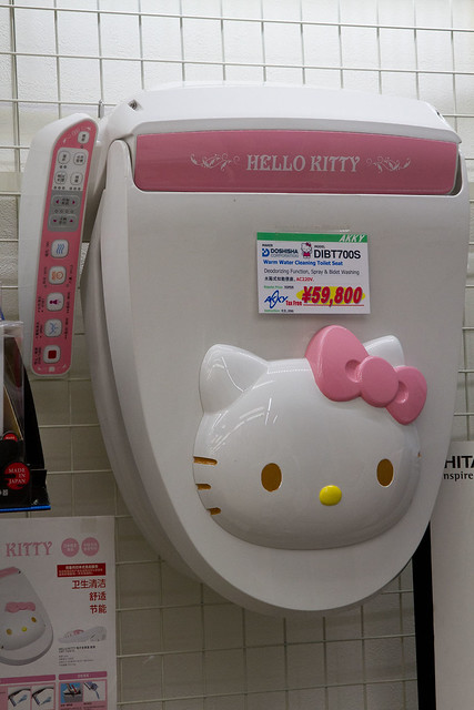 Japanese Toilet - not a litter box