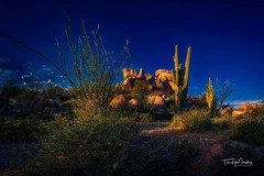 Desert Twilight #desert #saguaro #ocotillo #rock #boulder #arizona #carefree #the boulders #twilight