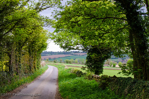 pauldiming cotswolds cotswold spring england britain greatbritain gloucestershire southwestengland dailyphoto cotswolddistrict thecotswolds d7000 unitedkingdom uk upperslaughter stowonthewold gb