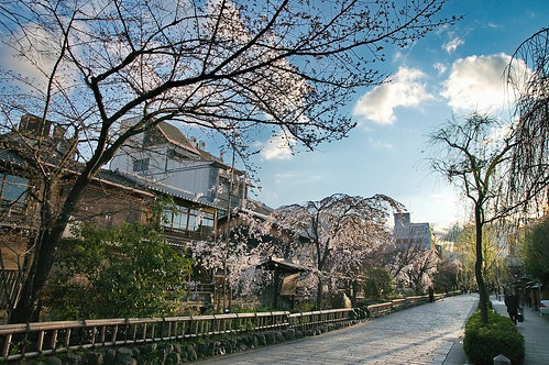 【写真】2013 桜 : 祇園白川/2021-01-19/IMGP8746