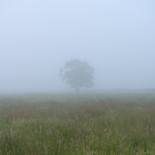 uk sun mist sunrise landscape scotland europe grantownonspey advie afszoomnikkor2470mmf28ged