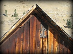Animas Forks ghost town #16