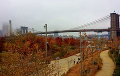 Brooklyn Bridge Park, 11.17.13