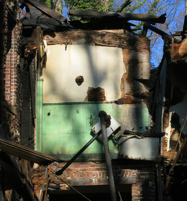 IMG_3565-2014-03-30-Burned-Aronstam-House-by-Pringle-and-Francis-Palmer-Smith-bathroom-detail