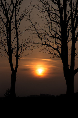 tree silhouette alberi bergamo mura sunset tramonto lombardia
