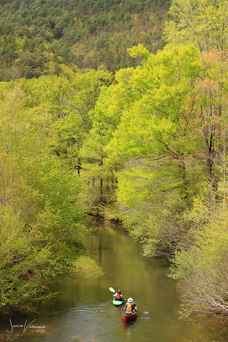 kayak kayaker creek river nature summer green trees water terrapin chief ladiga trail
