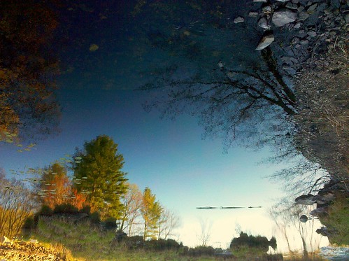 trees sky usa reflection water leaves pine river landscape spring pond oak rocks stream upsidedown newhampshire surreal pebbles shore wetlands brook derry surreallandscape