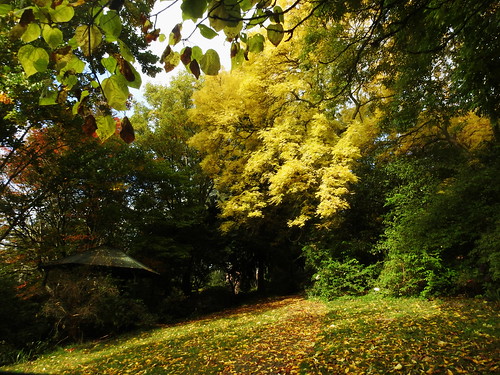 victoria sherbrooke georgetindalememorialgarden autumncolors autumn australia
