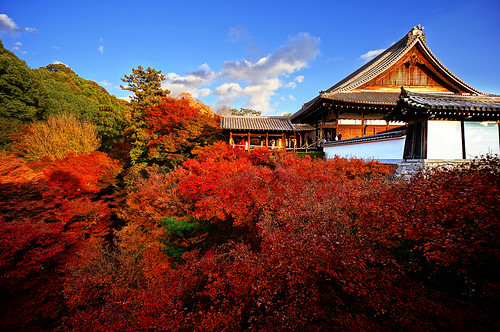 travel autumn light red color tourism colors yellow japan architecture lens temple leaf kyoto shrine day view zoom sony wideangle tourist tofukuji 京都 日本 紅葉 alpha popular visitor viewing f4 hdr attractions nationalgeographic oss nex もみじ 東福寺 mirrorless 1018mm nex6 sel1018 pwfall pwpartlycloudy