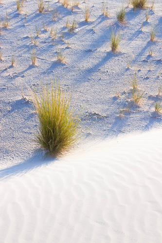morning summer newmexico sunrise sand unitedstates desert whitesandsnationalmonument tularosa