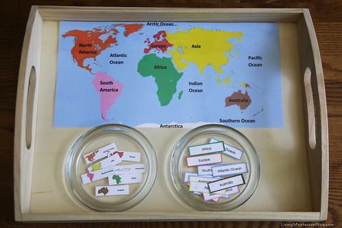 Continent Map Labeling Tray