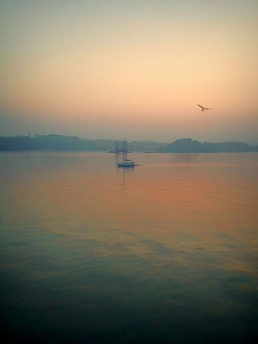 ocean sunset ship seagull calm
