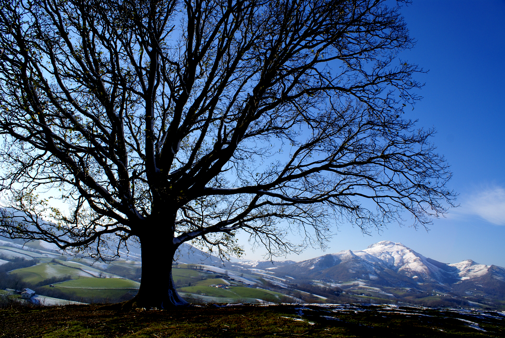 10. Valle del Baztán en invierno. Autor, Arnofoto.fr