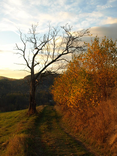 autumn mountains jizerskéhory desshire