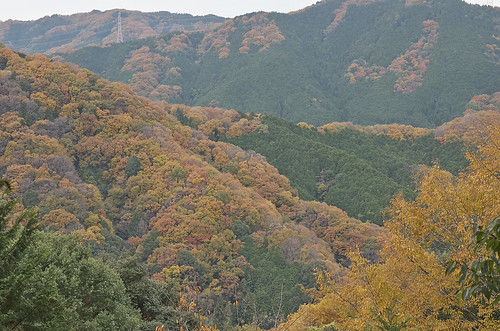 【写真】2013 紅葉 : 笠置山もみじ公園/2021-10-24/IMGP3610